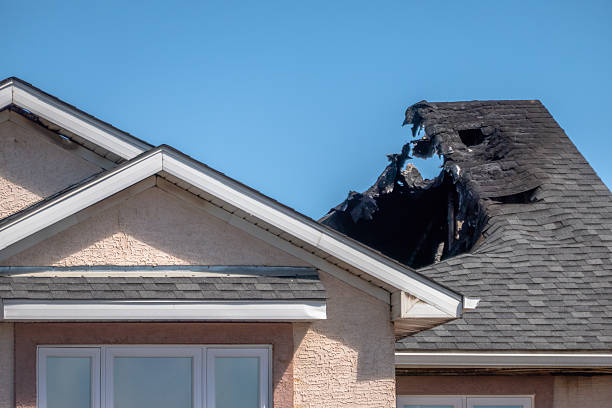 Top rated local Smoke Odor Removal specialists in Maple Plain, MN